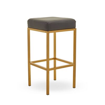 Baina Dark Grey Pu And Gold Finish Bar Stool