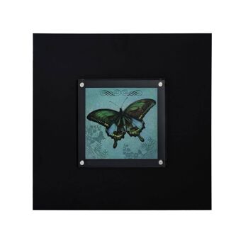 Butterfly 1 Framed Wall Art 3