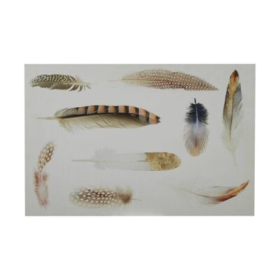 Feather Wall Plaque
