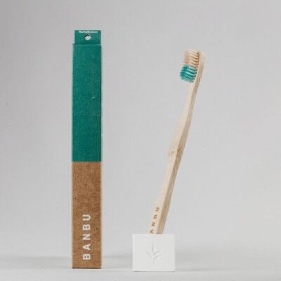 Adult toothbrush - Medium green adult toothbrush