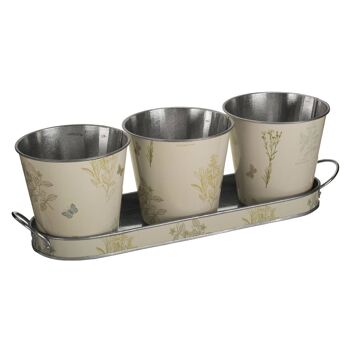 Pots de Jardin sur Plateau Oblong - Lot de 3 2