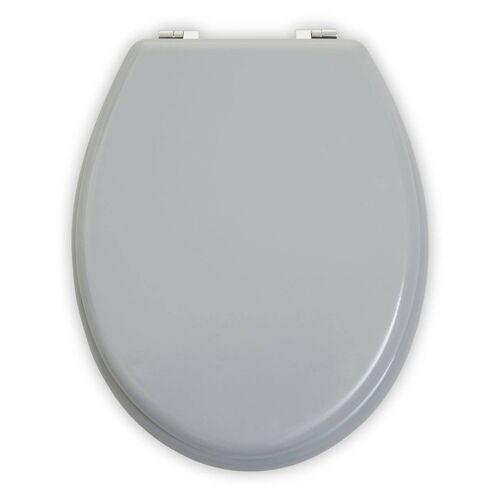 Matt Grey Toilet Seat