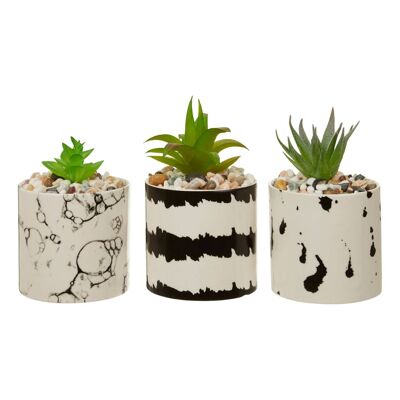 Mimo Set of 3 White / Black Succulents