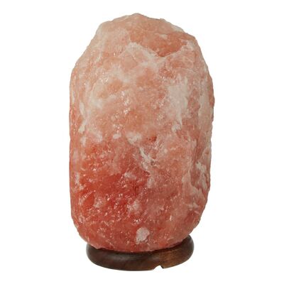 Natural Salt Lamp with EU Plug