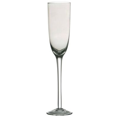 Silver Lustre Champagne Glasses - Set of 2