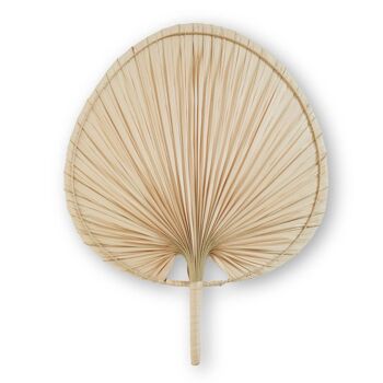 Balta Large Natural Palm Leaf Fan 5