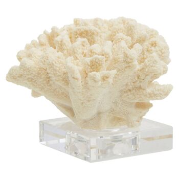 Boho Large White Coral 2