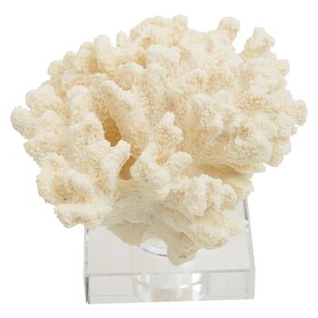 Boho Large White Coral 3