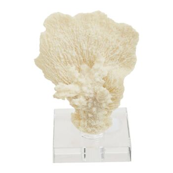 Boho Small White Coral 2