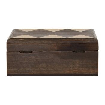 Bowerbird Harlequin / Large Trinket Box 4