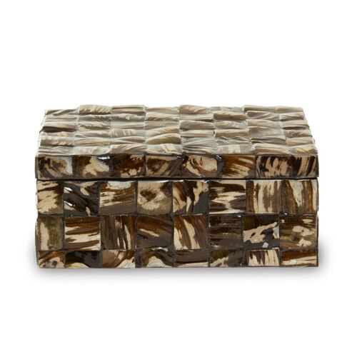 Branna Large Natural Shell Detail Box