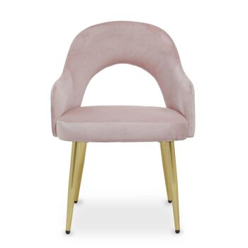 Dani Dusky Pink Velvet Dining Chair 1