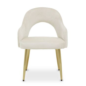 Dani Stone Velvet Dining Chair 1