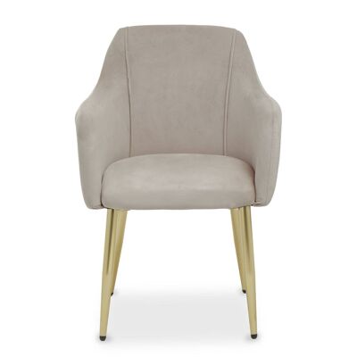 Darcy Mink Velvet Dining Chair