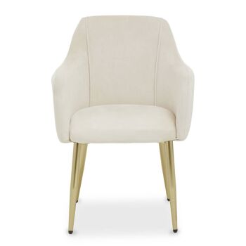 Darcy Stone Velvet Dining Chair 1