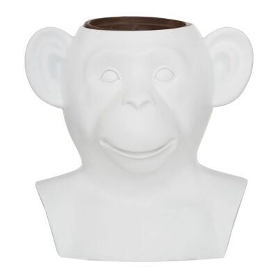 Monkey Planter