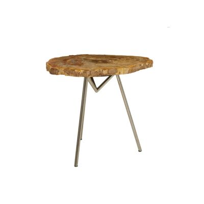Relic Large Petrified Wood Side Table