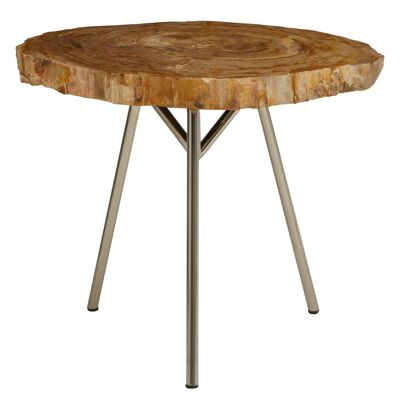 Relic Medium Petrified Wood Side Table