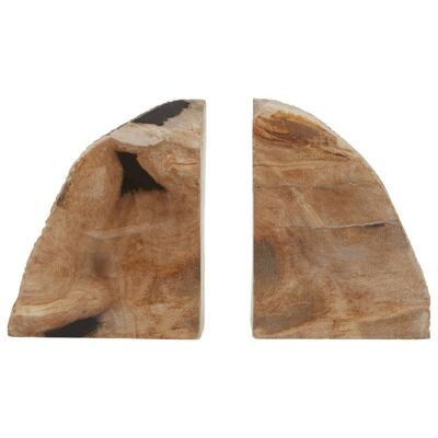 Relic Set of 2 Petrified Wood Bookends