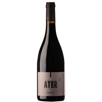 Ater 2020 - red wine