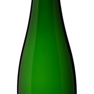 Grüner Veltliner Federspiel Ried Kollmütz 2024