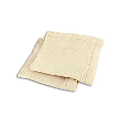 Set of 2 origin napkins 40x40cm in cumin cotton