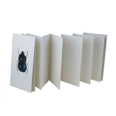Carnet à dessin leporello en accordéon motif insectes cabinet de curiosités