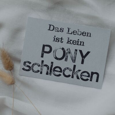 Gestempelte Postkarte "Ponyschlecken"