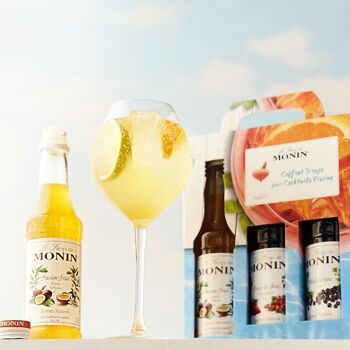 Coffret cadeau Piscine MONIN pour cocktail et limonade - Arômes naturels -  3x25cl 3