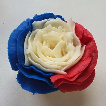 Fondant ou Bougie Rose du 14 juillet 2