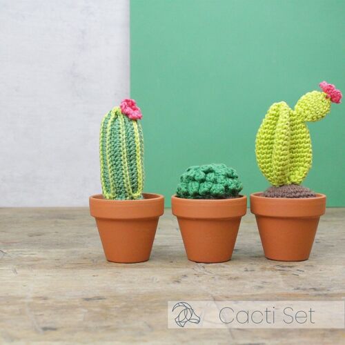 DIY Crochet Kit - Cacti
