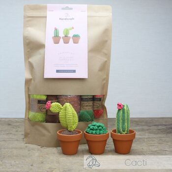 Kit de crochet DIY - Cactus 2