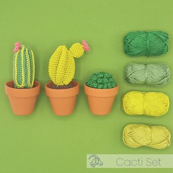 Kit de crochet DIY - Cactus 3