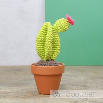 Kit de crochet DIY - Cactus 4