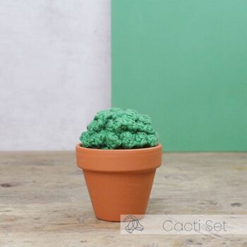 Kit de crochet DIY - Cactus 5