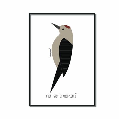 Poster A4 | Great spotted woodpecker