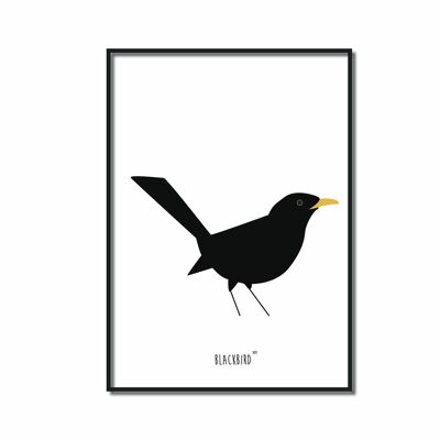Poster A4 | Amsel
