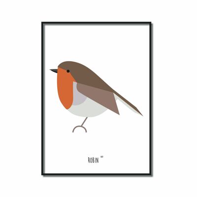 Poster A4 | Robin