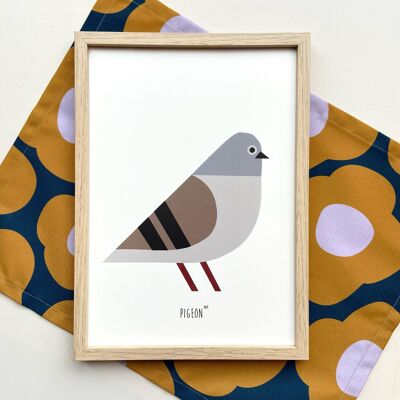 Affiche A4 | Pigeon