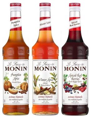 Pack Epices de Noël MONIN pour Boissons chaudes - 3 sirops 70 cl