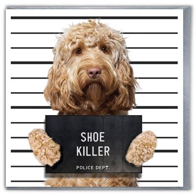 Scheda divertente - Scarpa Killer Cockerpoo