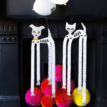 Décorations d'Halloween Squelette pour Animaux - Paquet de 2 3