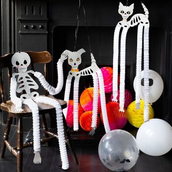 Décorations d'Halloween Squelette pour Animaux - Paquet de 2 4