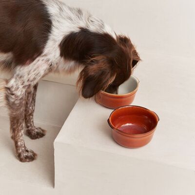 Ciotola per cani in ceramica marrone, Lisboa