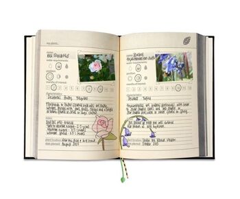 Mein Gartenhandbuch 2