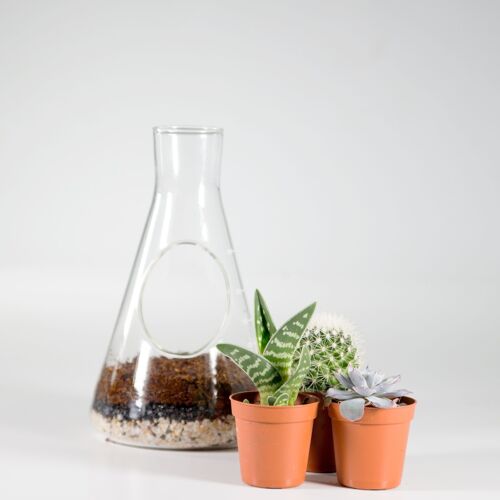 Laborglas Terrarium Anbauset