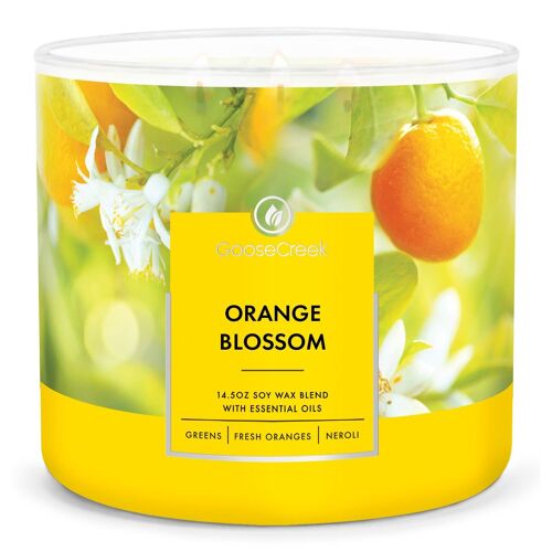 Orange Blossom 3-Wick Candle