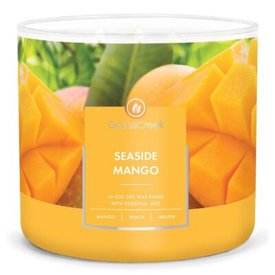 Seaside Mango Große 3-Docht-Kerze