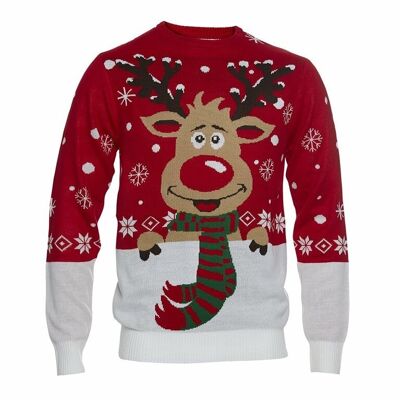 Pull de Noël "Rudolph"