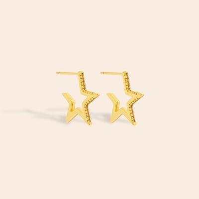 Zirconia Star Earrings